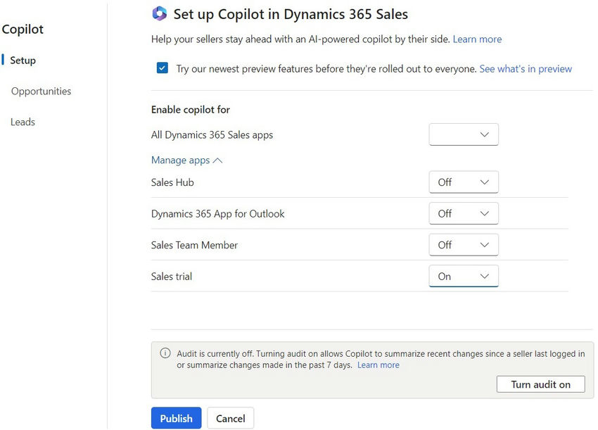 Set up Copilot in dynamics 365 sales Publish